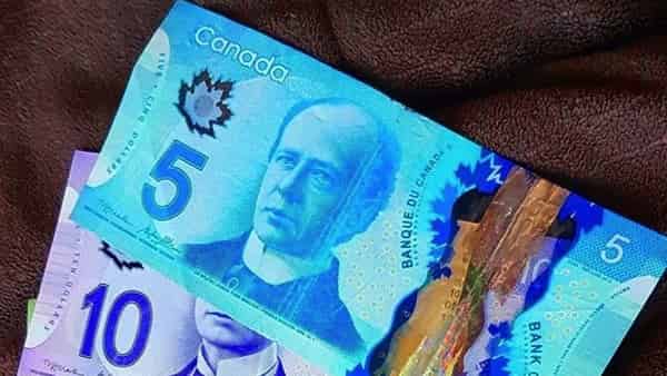 Канадский Доллар прогноз USD/CAD на 15 декабря 2022