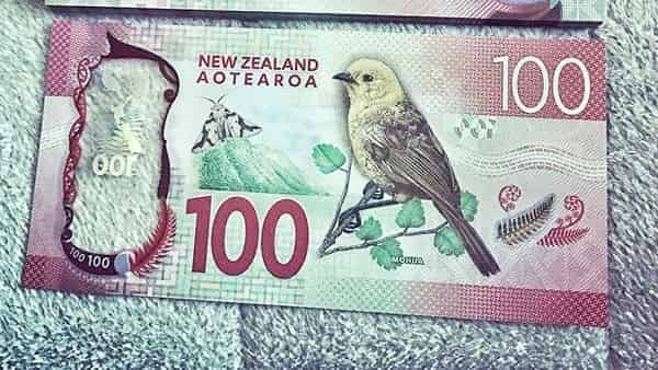 NZD/USD прогноз Форекс на сегодня 10 марта 2023