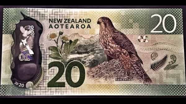 NZD/USD прогноз Форекс на сегодня 12 декабря 2019
